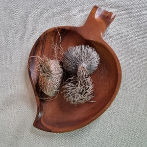 Puede incluir: Tres vainas de semillas secas en un cuenco de madera con forma de hoja. Las vainas son marrones y peludas con un color marrón claro.