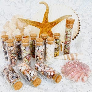 May include: Glass bottles filled with various seashells, sealed with corks. A large starfish and several seashells are arranged in the background. The shells are in shades of white, pink, and brown.