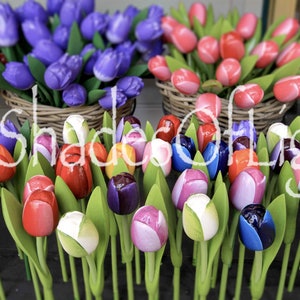 Holland Tulips image 1