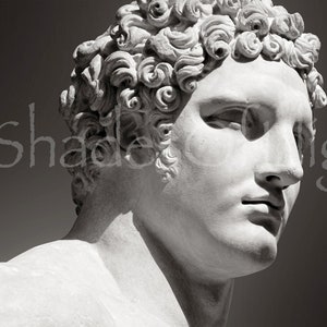 Statue of Young Hercules