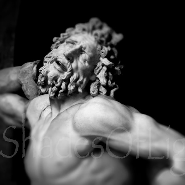 Statue of Laocoon from Vatican Museums