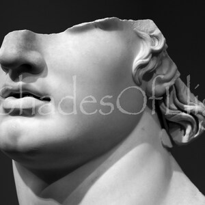Alexander The Great