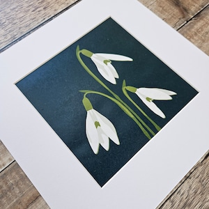 Original limited edition reduction linocut print of a three snowdrops in bloom with a blue/green background (14)