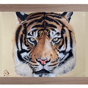 Stampa da disegno originale fatto a mano con matite colorate di Tigre