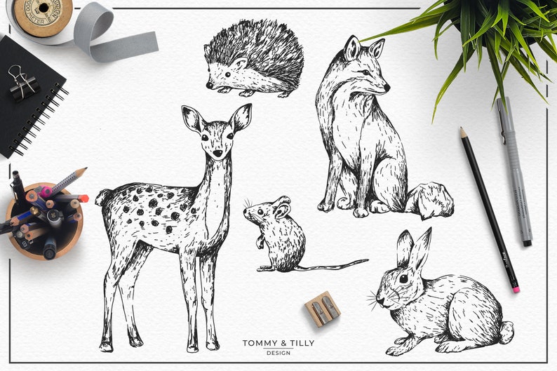 Download Hand Drawn Woodland Animals Bundle Hochwertige Clipart Png ...