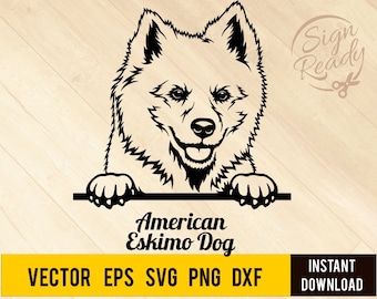 Download American Eskimo Svg Etsy