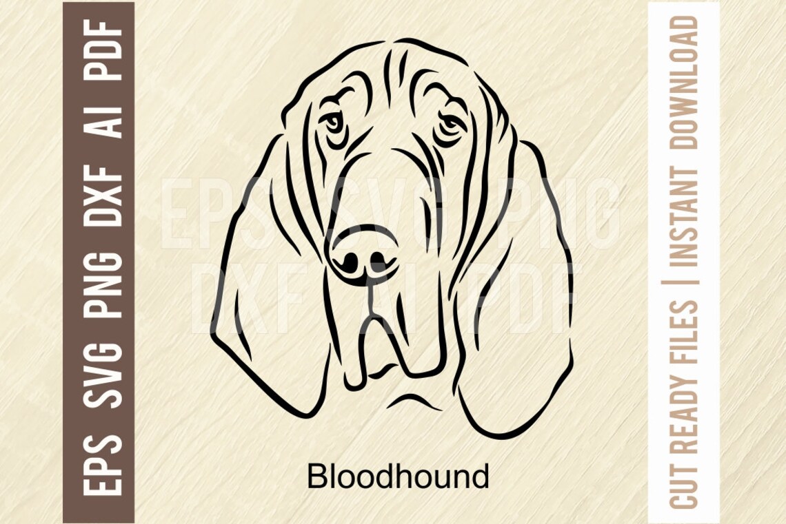 Bloodhound Portrait SVG Dog svg Dog Digital Dog SVG Dog | Etsy