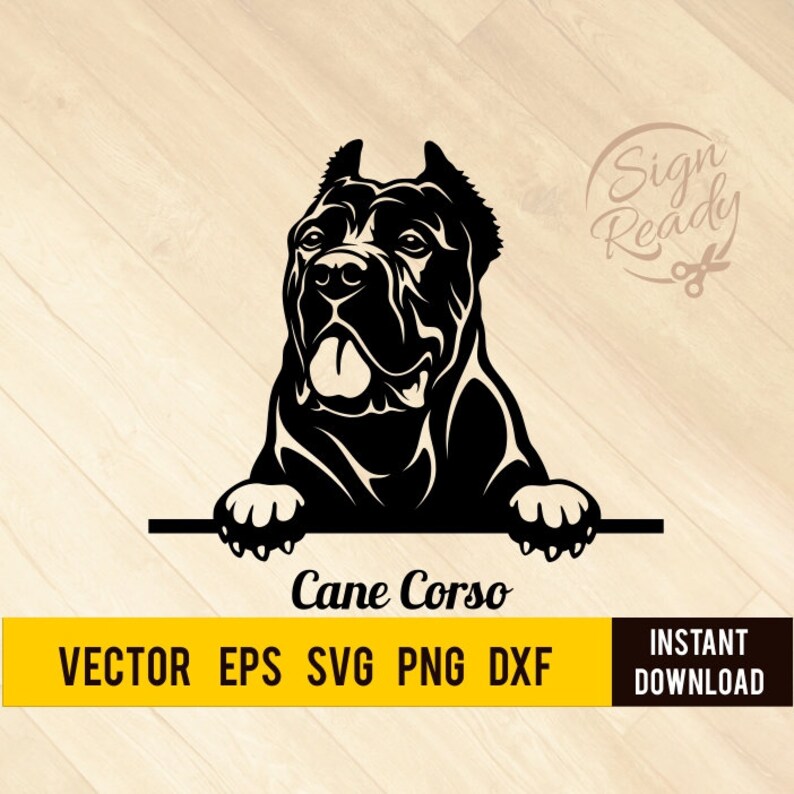 Peeking Cane Corso Dog Svg DOG ClipartVector Art Digital