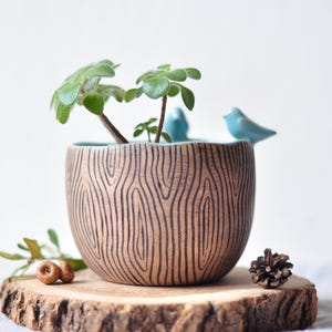 May include: A ceramic planter with a wood grain pattern, containing a small green plant. Two blue bird ornaments are on the rim. The planter sits on a wooden slice, with a pine cone and nuts. A decorative item for the home.
