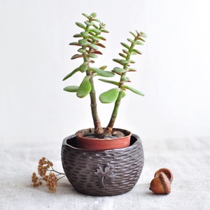 Small сeramic planter with acorns and leaves, Succulent plant pot, Ceramic cactus pot, Succulent clay planter, Cache flower pot, Plant pot image 10
