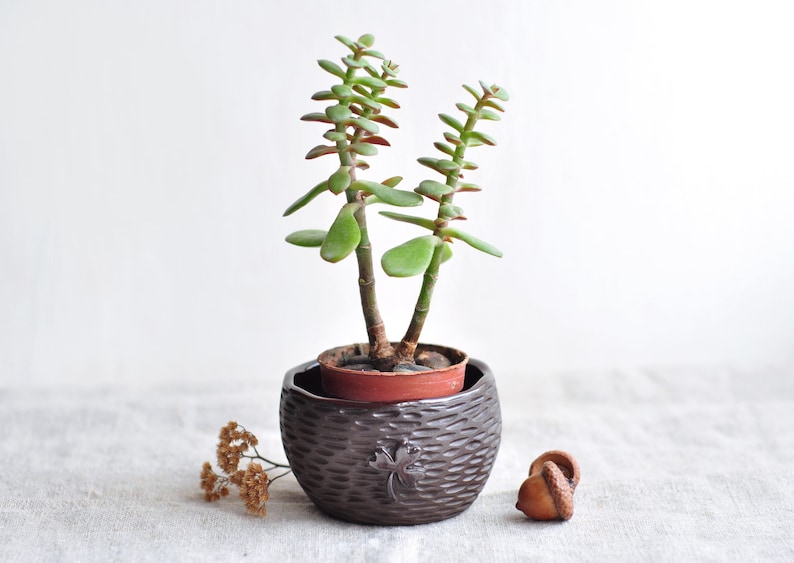 Small сeramic planter with acorns and leaves, Succulent plant pot, Ceramic cactus pot, Succulent clay planter, Cache flower pot, Plant pot image 10