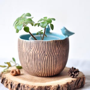 Ceramic Succulent Planter with Birds: Handmade Clay Plant Pot