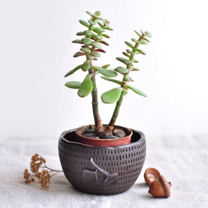 Small сeramic planter with acorns and leaves, Succulent plant pot, Ceramic cactus pot, Succulent clay planter, Cache flower pot, Plant pot image 2