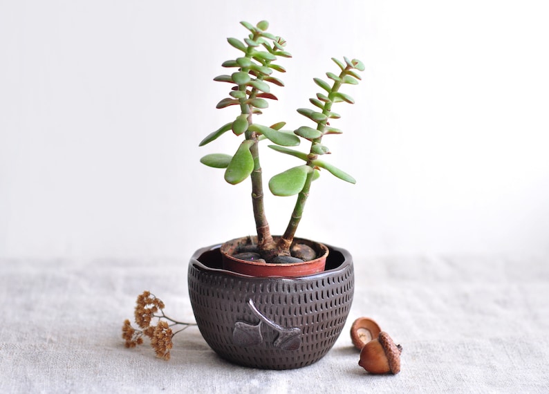Small сeramic planter with acorns and leaves, Succulent plant pot, Ceramic cactus pot, Succulent clay planter, Cache flower pot, Plant pot image 2