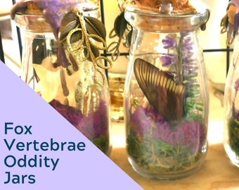Bone Terrarium - Fox Vertebrae, bone art, bone jar