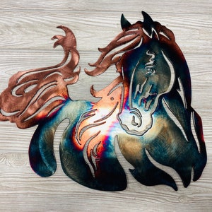 Horse Beauty