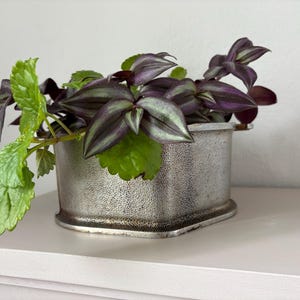 May include: A small, square, silver-colored planter filled with a houseplant. The plant has green and purple leaves. The planter sits on a white surface against a white wall.