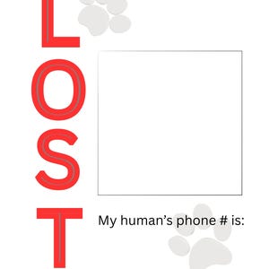 May include: A white pet identification card with the word "LOST" in large red letters. The card includes spaces to write a pet's name and the owner's phone number, along with paw print graphics.