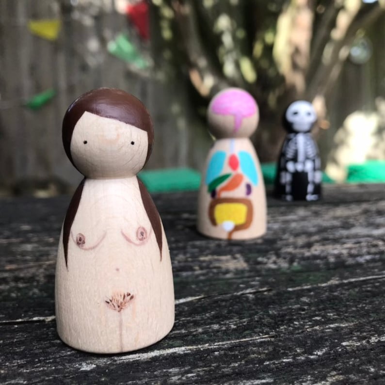 Human Anatomy Peg Dolls