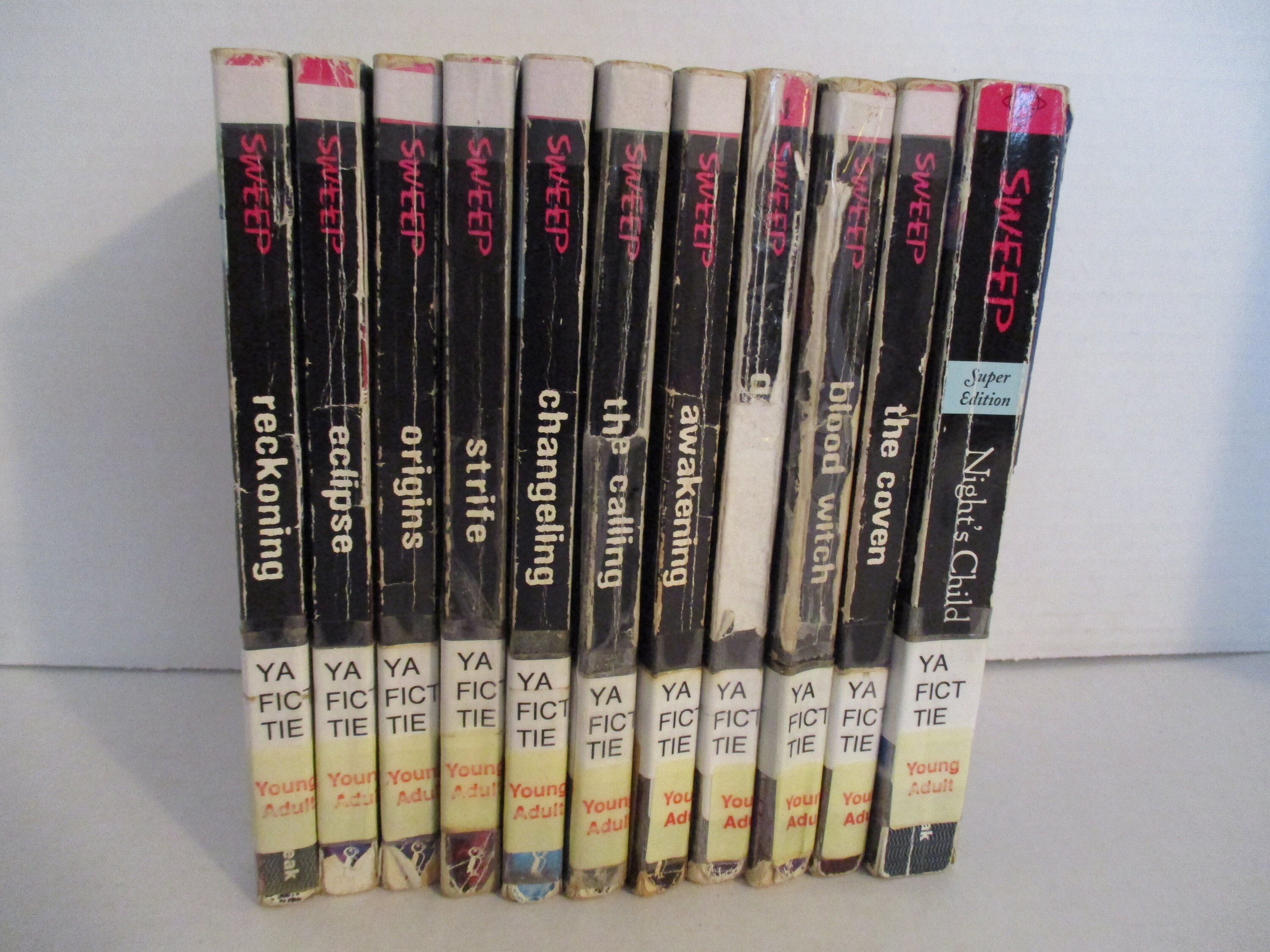clean sweep book series order clean sweep book series order