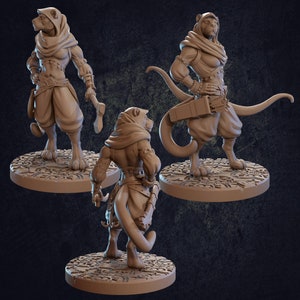 Tabaxi Rogue Taja 3D Printed Tabletop RPG Mini