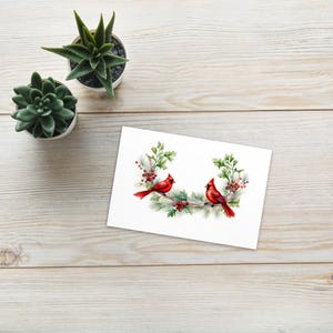 Carte postale standard Belle branche de pin de Noël double cardinal