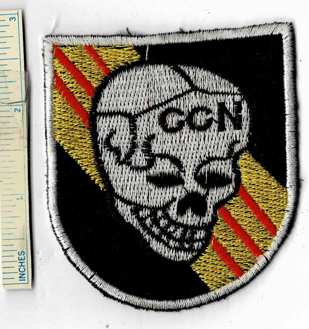 WW2 German SS Visor Cap Skull M1/24 - Book Pictured