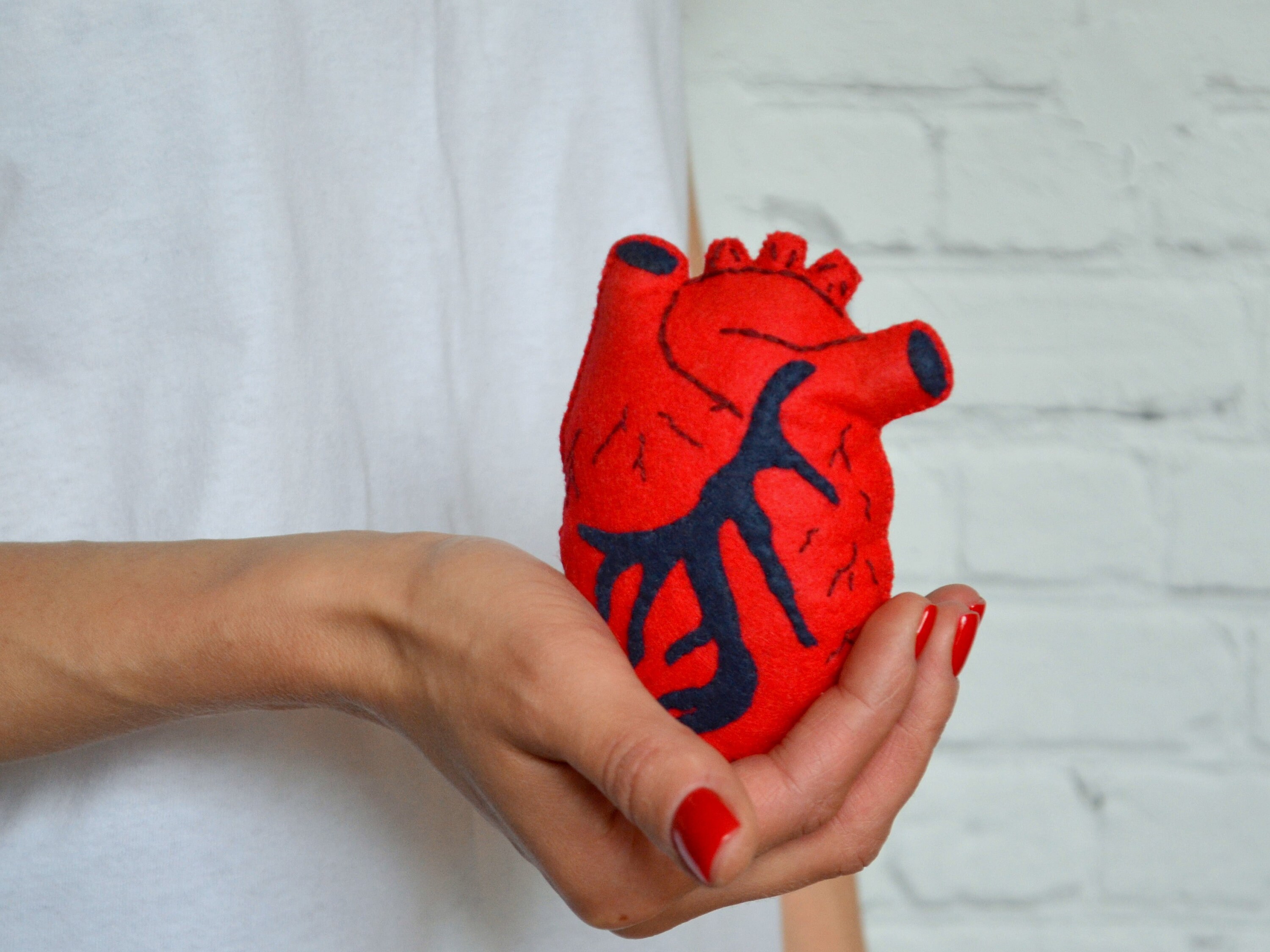 Anatomical heart plush Valentines day plushie Girlfriend Etsy