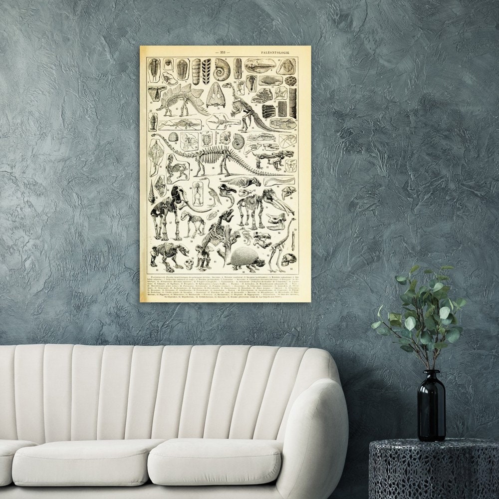 Discover Dinosaur art print, Larousse book plate, jurassic Premium Matte Paper Poster, Bathroom Wall Decor