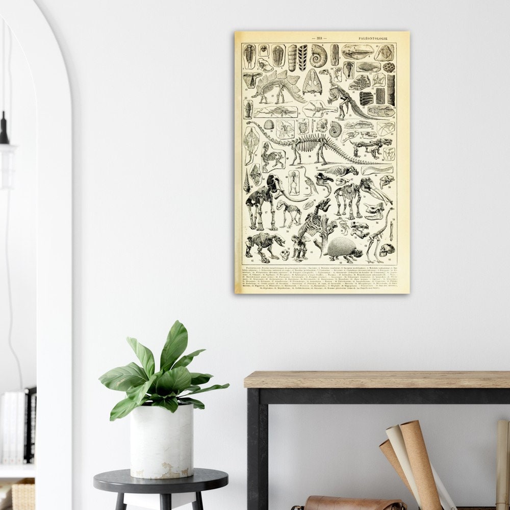 Discover Dinosaur art print, Larousse book plate, jurassic Premium Matte Paper Poster, Bathroom Wall Decor