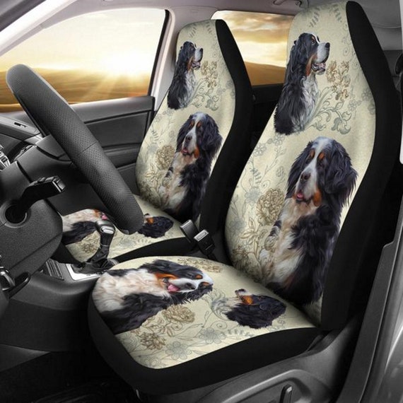 dog car accessories