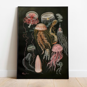 Jellyfish Print Premium Matte Poster, New Home Gifts for Her, Botanical Poster, nautical Art Poster, Vintage Art Poster
