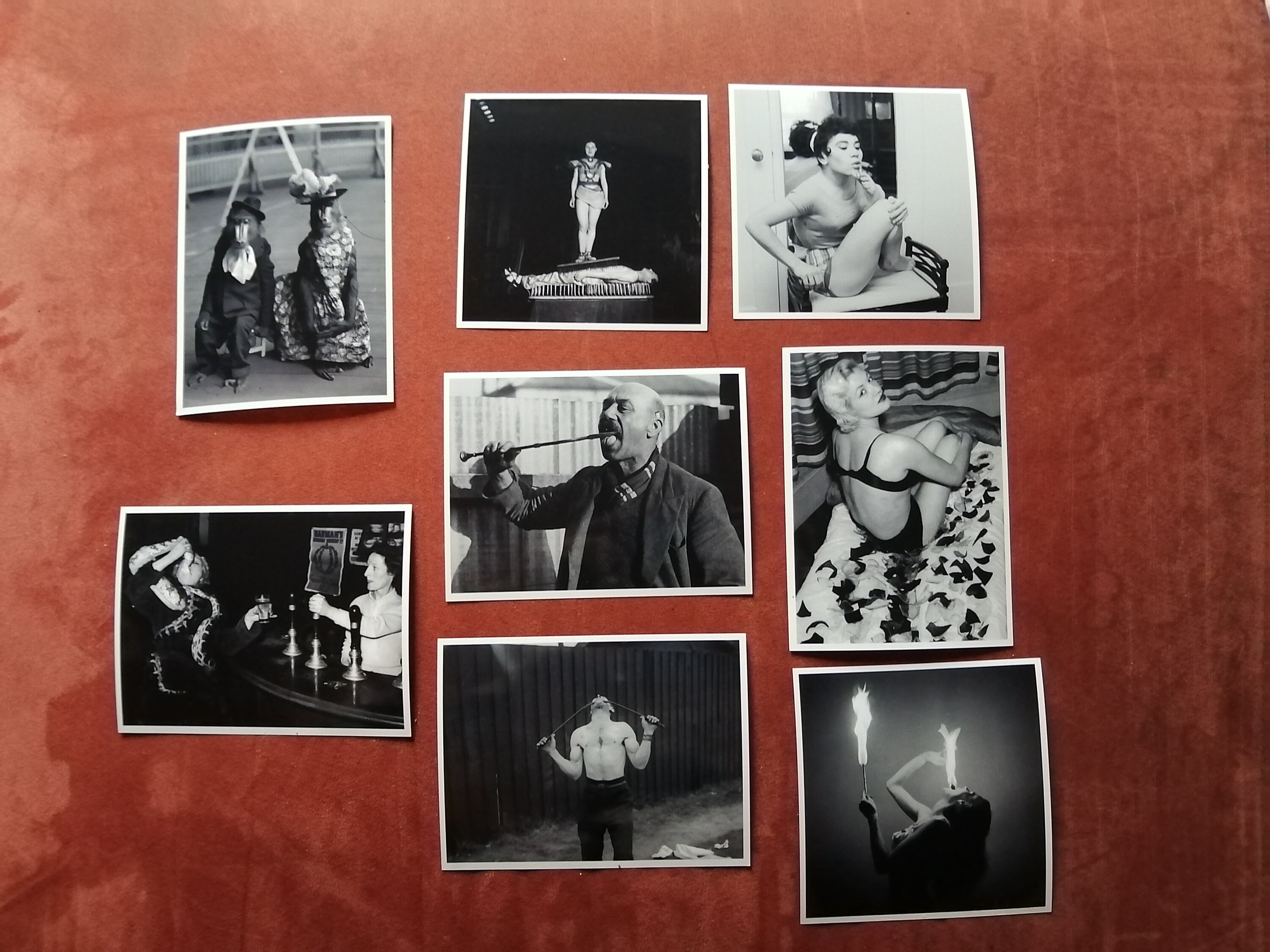 Lot de 8 Reproductions Photos Human Oddities, Freakshow, Pictures, Replica, Cirque, Circle, Oddities
