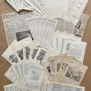 Vintage typografische kortstondige collagerestjes. Een verzameling van 60 originele efemere items, voor plakboeken, junkjournals en collage