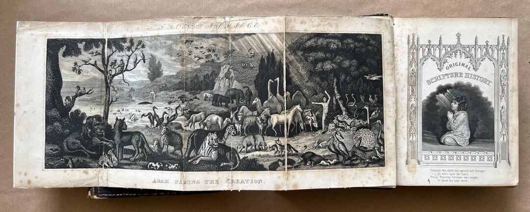Antique 2 Volume Scripture History With the Lives of the Apostles, 1844 ...