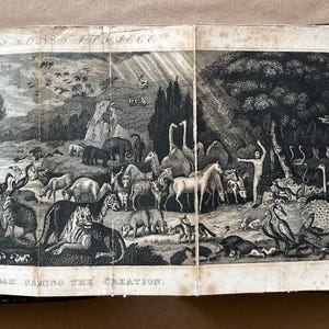 Antike 2 Band Schriftgeschichte mit Das Leben der Apostel, 1844, mit vielen gravierten Abbildungen.