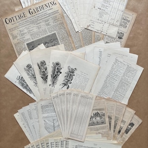 Vintage typografische kortstondige collagerestjes. Een verzameling van 60 originele efemere items, voor plakboeken, junkjournals en collage