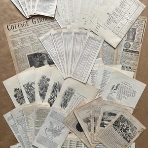 Vintage typografische kortstondige collagerestjes. Een verzameling van 60 originele efemere items, voor plakboeken, junkjournals en collage