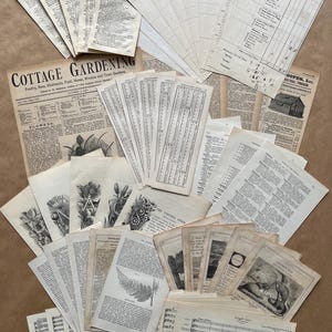 Vintage typografische kortstondige collagerestjes. Een verzameling van 60 originele efemere items, voor plakboeken, junkjournals en collage