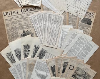 Recortes de collage tipográficos vintage. Una colección de 60 piezas de efímeras originales para álbumes de recortes, diarios basura y collages.
