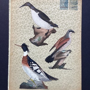 Einzigartige, handgemachte Collage unter Verwendung von originalen vintage und antiquarischen Ephemera