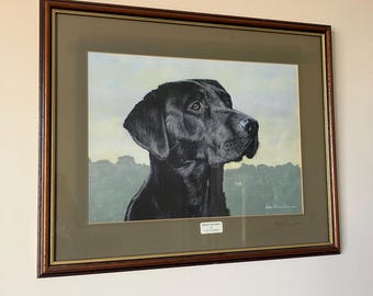 A Framed Oil Painting of a Black Labrador by John Brian Evanson 30 x 40cm