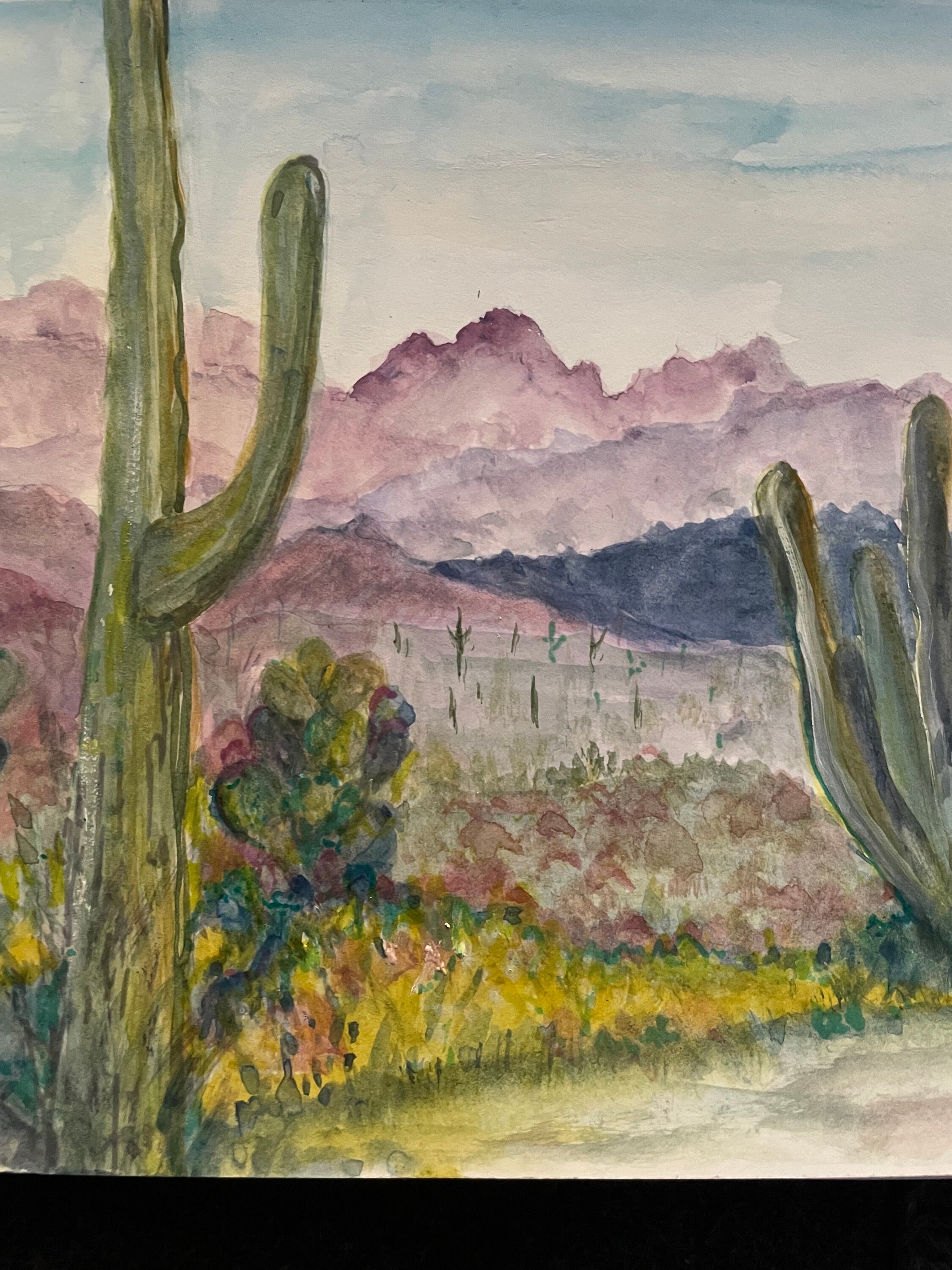 Original Watercolor Southern Arizona Ajo Mountains with Sagauro Cactus