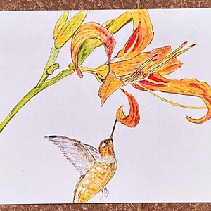 Aquarelle Colibri, carte pour notes pliée