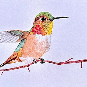 Aquarelle Colibri, carte pour notes pliée