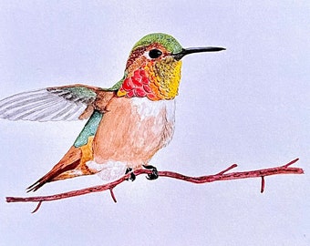 Hummingbird Watercolor, Folded Notecard