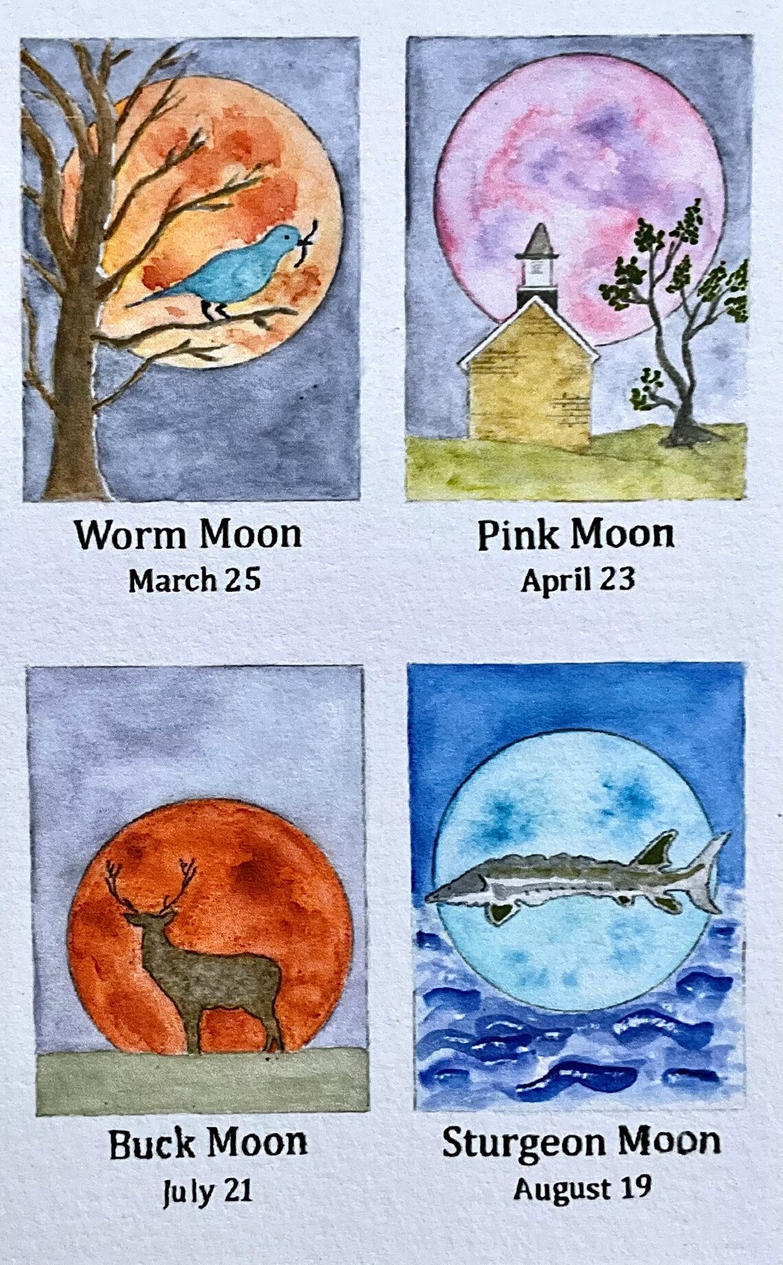 Full Moon Schedule 2025, Watercolor, Print Etsy
