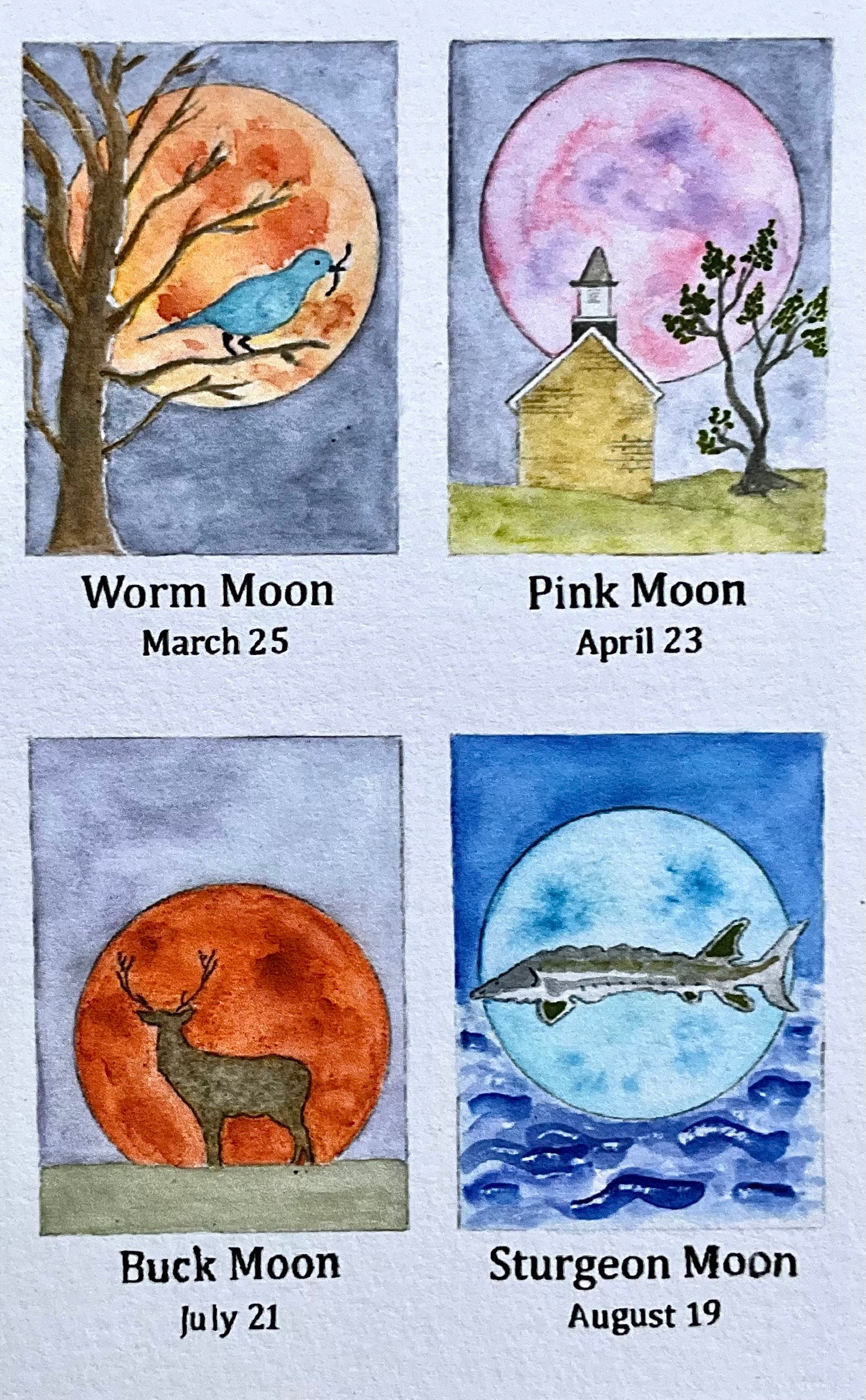Full Moon Schedule 2024, Watercolor, Print Etsy
