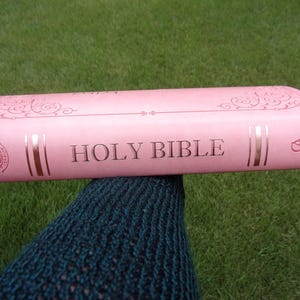 Pu&ograve; includere: Una Sacra Bibbia rosa chiaro con copertina liscia, caratterizzata da scritte in oro metallizzato sul dorso, volute decorative in alto e in basso e due linee dorate verticali ai lati del titolo. Un piccolo logo &egrave; visibile sulla sinistra.