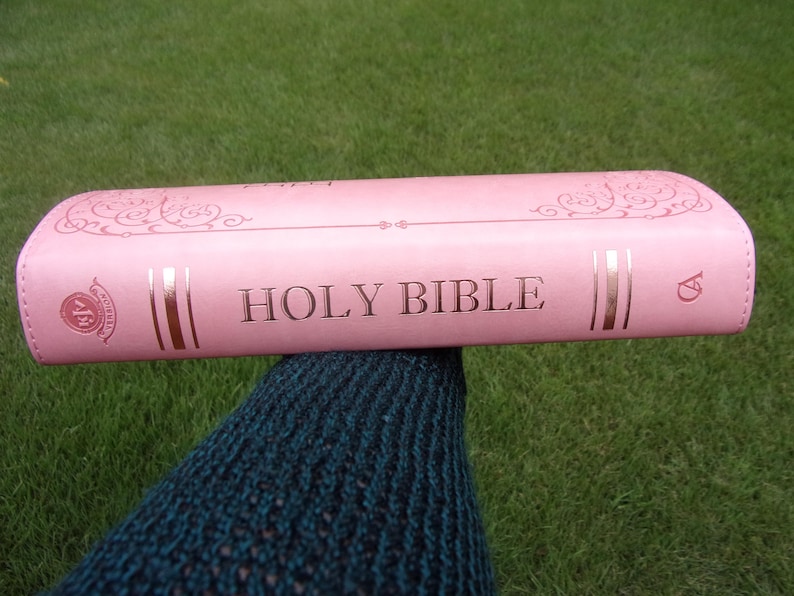 Pu&ograve; includere: Una Sacra Bibbia rosa chiaro con copertina liscia, caratterizzata da scritte in oro metallizzato sul dorso, volute decorative in alto e in basso e due linee dorate verticali ai lati del titolo. Un piccolo logo &egrave; visibile sulla sinistra.